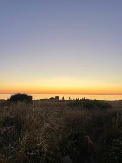 Unique stay at heated boat in the heart of Viken - 9