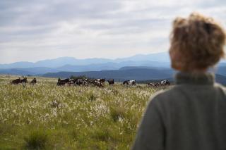 Goats Window Luxury Safari Lodge Prestige Collection - 7