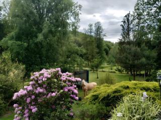 Gîte de la vallée, En Pleine Forêt - 1