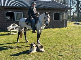 Relaxed Guesthouse - 2