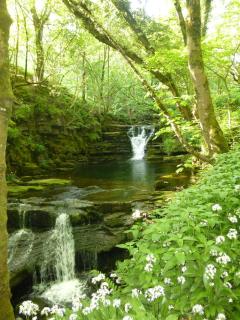 Middlehope Cottage - 6