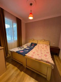 Abastumani Apartment - 1