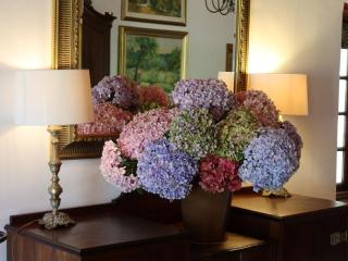 Navarre Residence - 6