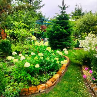 Miętowy domek -  - 9