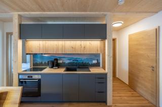 Ferienhaus Dresselbach - Wohnung 02 "Tannenwaldblick" in Schluchsee für 6 Personen - 7