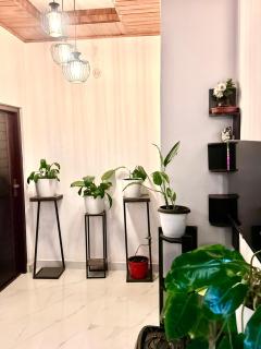 Grand Sapphires Resorts In Idukki - 4