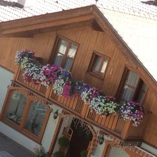 Appartamenti -Casa Nicolussi- - Molveno - 6