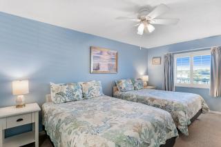 Sand Dollar 207 - 1