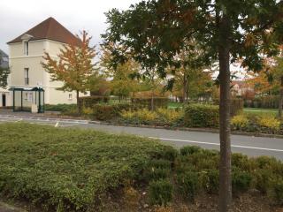 koechi - Magny-le-Hongre - 4