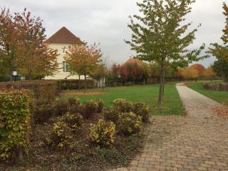 koechi - Magny-le-Hongre - 5