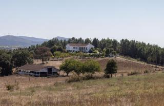 Quinta Vale Leitão - 8