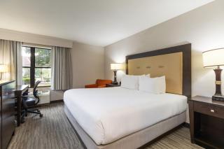 Branson Hillside Hotel - 1