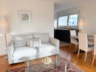 179 Comfortable sunny quiet good location and free parking included - Lausanne - 9