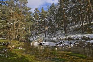 El Sobrao de Gredos - 1