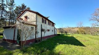 Senigallia, casale immerso nel verde delle colline - SE143 - 8