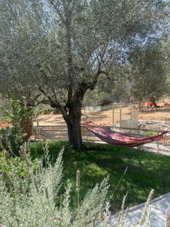 DOLONAS Cosy House -  - 5