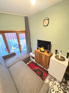 Tezim ve sesiz bir ev - 1