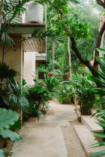 Casa Querida - 3