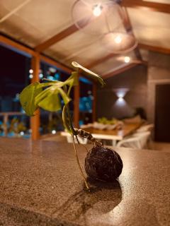 Flat à beira-mar no Bessa - 1