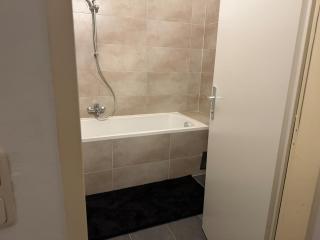 1BR, central, Prater, Schwedenplatz - 4