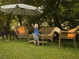 Apartment Reinskopf-4 by Interhome - 8