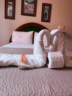 HOTEL ALFONSO UGARTE - 6