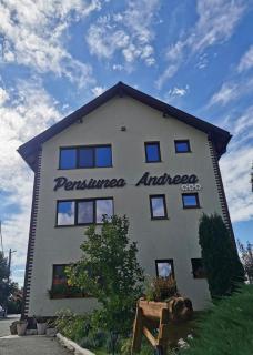 Pensiunea Andreea - 0