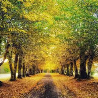 Le chai de Peyssard, piscine chauffée. - 2