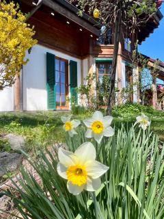 LaDolceVital im Tiroler Holzhaus mit Talblick - 0