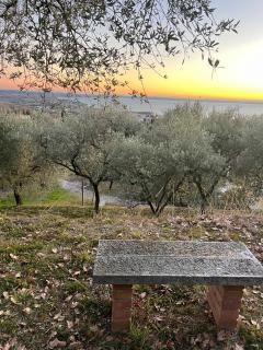 Villa Cà Bottura agli ulivi - 6