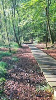 L'Orée des Bois - 2