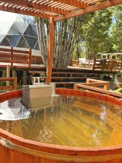 Domo ancud glamping - 4