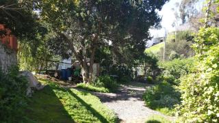 Refugio Familiar Los Boldos Punta Puyai Papudo - 7