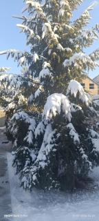 Kalachi guest house Armenia - 8