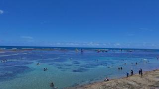 Flat Porto 600m da praia e centro Porto de Galinhas - 7