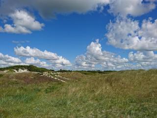 Tranquil Retreat in Hou Oasis-By Traum - 5