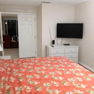 The Tipsy Turtle- Beautiful 4 BR Home Heated Pool - 3