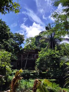 Alya Jungle Casitas - 3