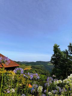 Pousada Borghetto – Charme e Exclusividade no Vale dos Vinhedos - 7