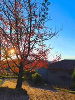 Pousada Borghetto – Charme e Exclusividade no Vale dos Vinhedos - 3