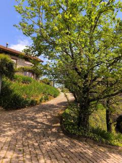 Pousada Borghetto – Charme e Exclusividade no Vale dos Vinhedos - 5