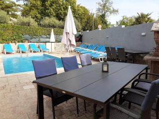 Family-friendly apartments with swimming pool Nedescina, Central Istria - Sredisnja Istra - 7455 - 3