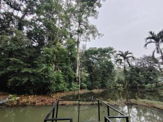 Vértice Blue Mountain Lodge la cueva de la montaña - 5