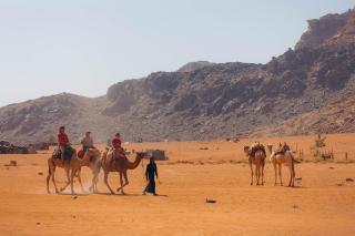 Magic Bedouin Star - 9