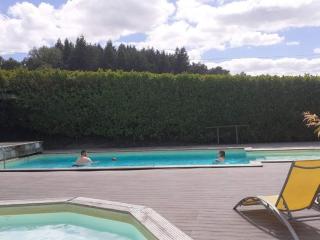 Mobil-home avec terrasse pour 4 personnes - API-1-52-663 - 2