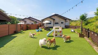 Taean Holy Dog Pool Villa - 6