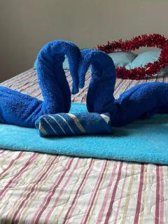 Casa Caju - Vale São Miguel with river access - 8