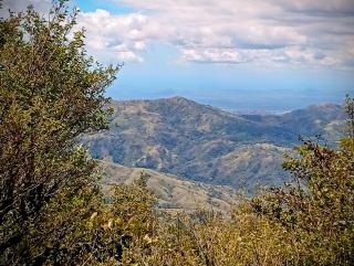 Roots Casa Rústica - 1
