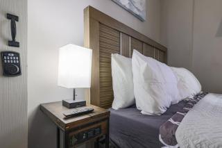 Luxury Near Downtown Worcester - 4