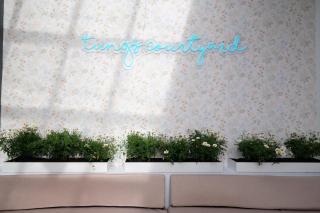 Tung's Courtyard - 6